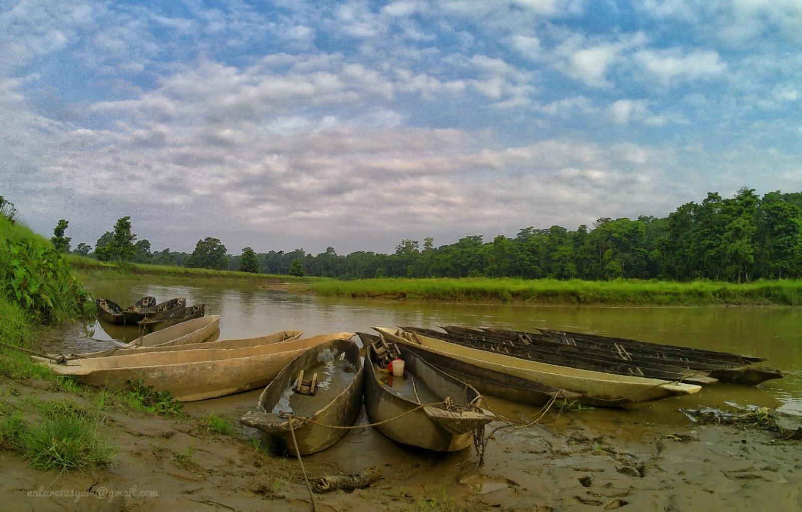 Wild Horizons Guest House Sauraha Luaran gambar
