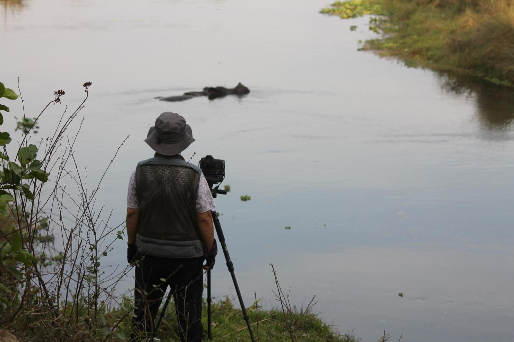 Wild Horizons Guest House Sauraha Luaran gambar