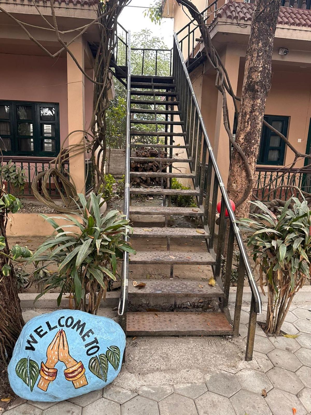Wild Horizons Guest House Sauraha Luaran gambar