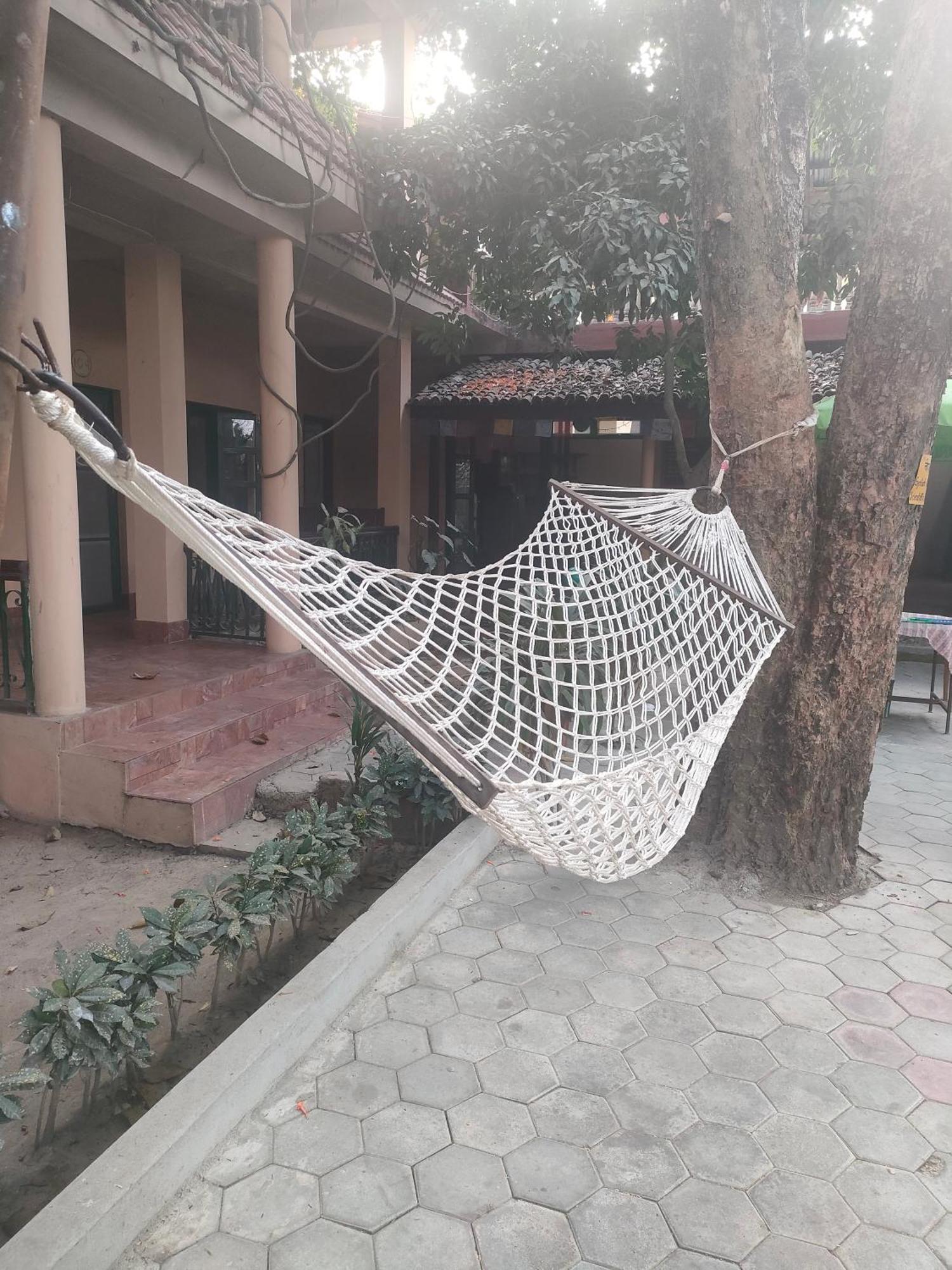 Wild Horizons Guest House Sauraha Luaran gambar