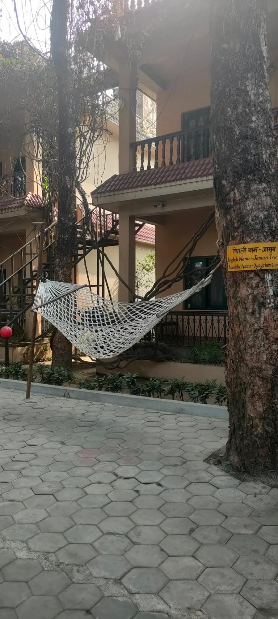 Wild Horizons Guest House Sauraha Luaran gambar