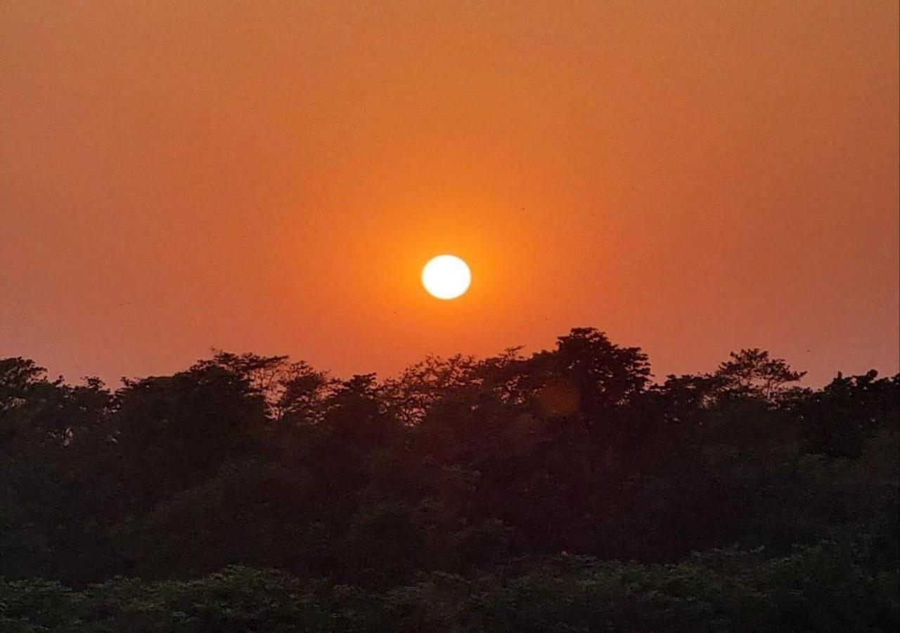 Wild Horizons Guest House Sauraha Luaran gambar