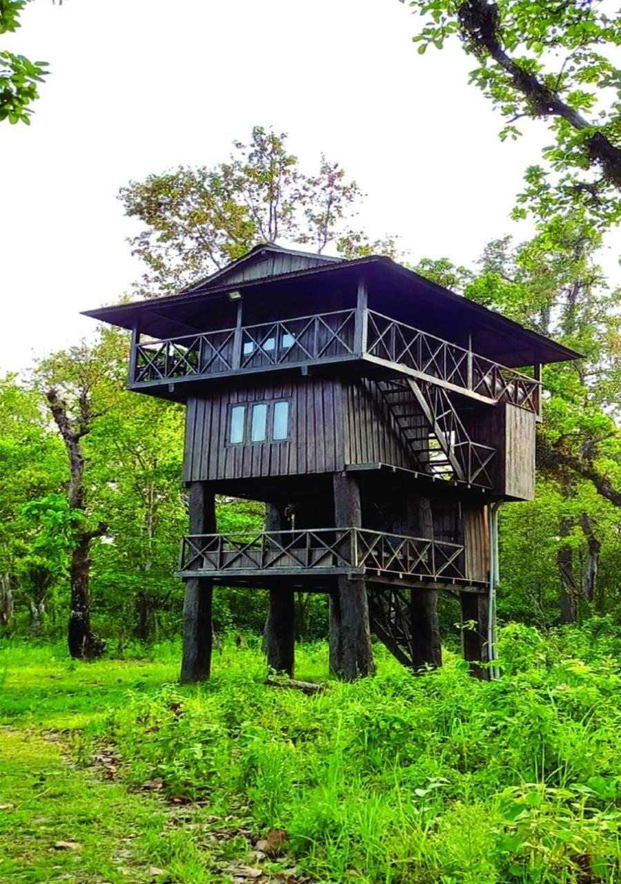 Wild Horizons Guest House Sauraha Luaran gambar