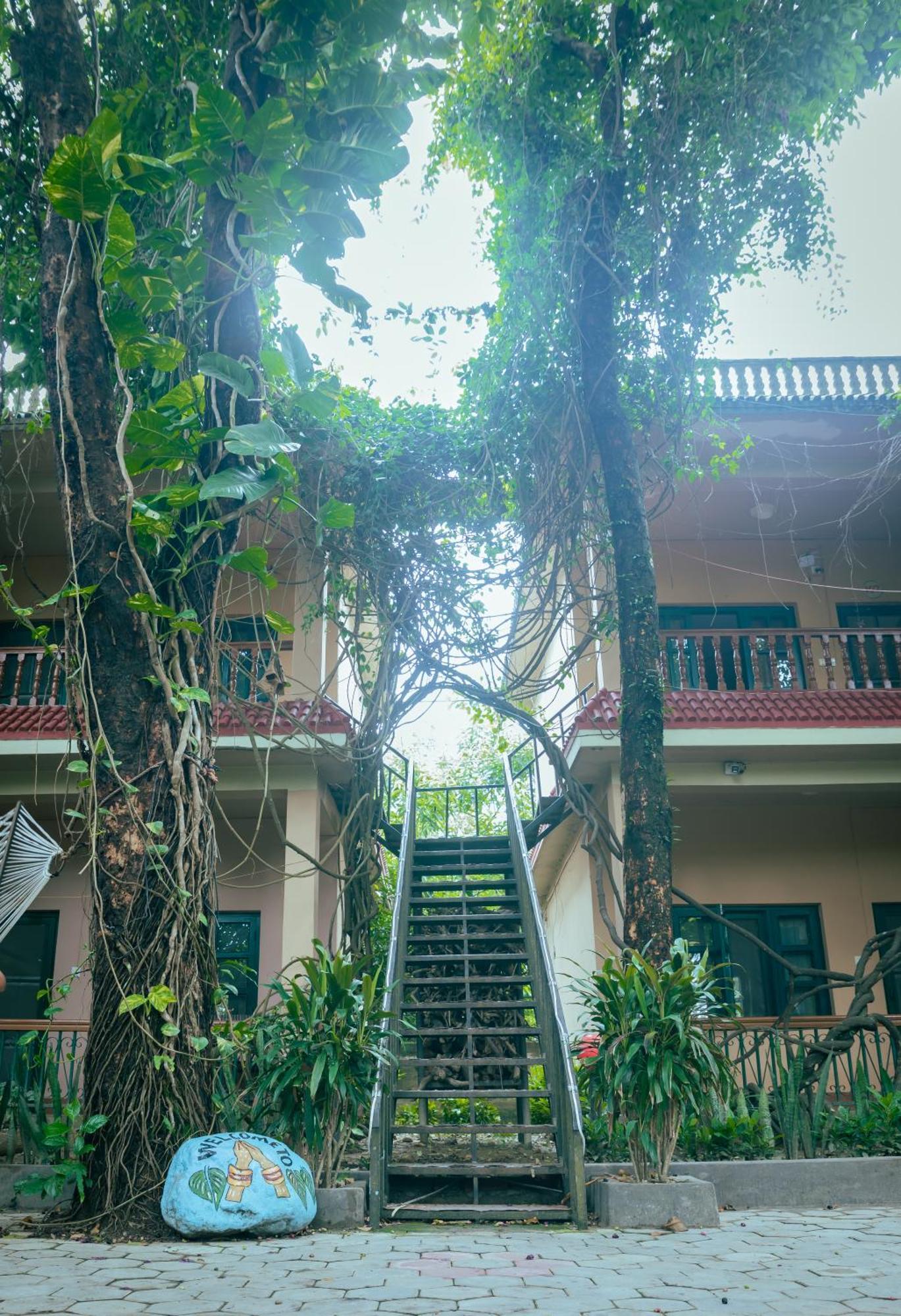 Wild Horizons Guest House Sauraha Luaran gambar